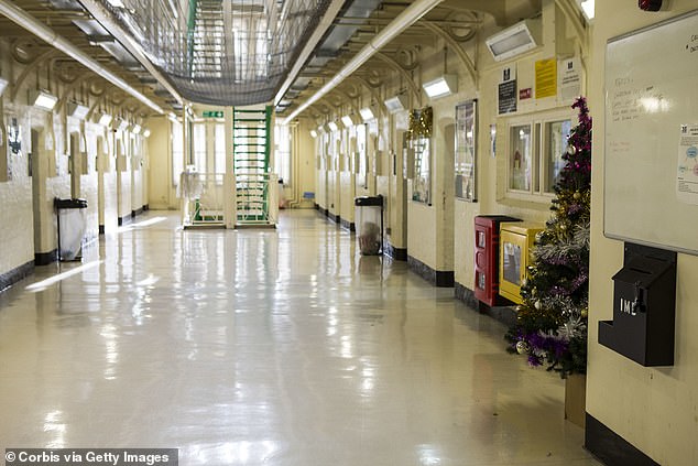 Frake-Harris fears that budget cuts have forced prisons to skimp on decorations. Pictured: Christmas trees at HMP Portland in Dorset