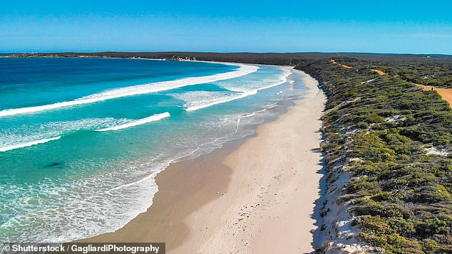 Prices have been slashed on several domestic and international flights with Jetstar, Qantas and Virgin Australia on selected dates (pictured, Kangaroo Island)