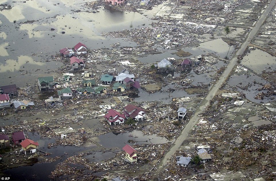 Destroyed houses are seen in this aerial view of the town of Meulaboh in Aceh province, Indonesia, on New Year's Day 2005