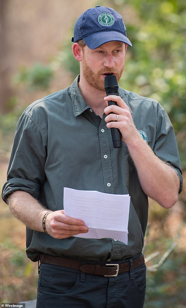 Prince Harry also disagreed with his brother on the best way to preserve sites in Africa