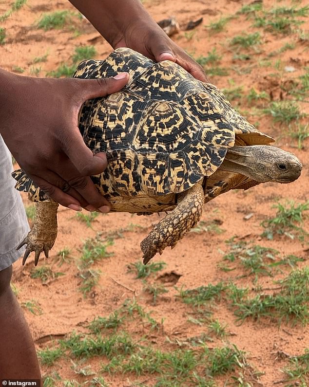 The housework expert got up close and personal with some of the animals in the Ongava Game Reserve