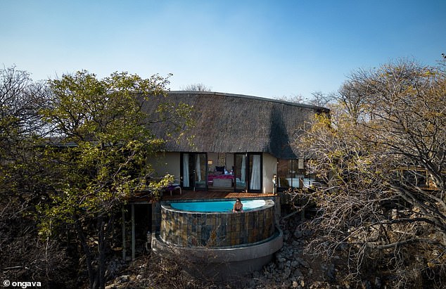 Ongava Game Reserve is home to several luxury villas that feature private infinity pools and viewing points.