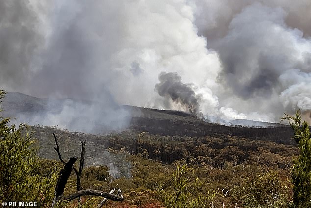 The out-of-control fire in Victoria (pictured) has razed a massive 74,000 hectares of land - about the estimated size of Singapore.