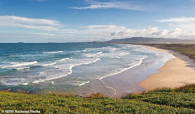 Kim was last seen entering the water at Moonee Beach (pictured) near Coffs Harbor on Thursday afternoon.