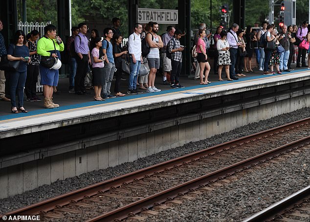 Sydney's rail network will run non-stop from 4am on December 31 to 2am on January 2, to cater for the massive crowds (pictured, commuters in Strathfield in the city's inner west).