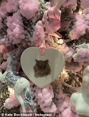 In the photo appears an ornament with an image of his late cat.