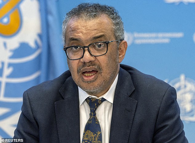 Tedros Adhanon Ghebreyesus (pictured), director-general of the WHO, was at the airport at the time of the airstrike.