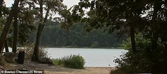 The near-fatal drowning occurred on July 19, 2023, at Goose Pond (pictured) in Cape Cod after the unnamed black boy rode his bicycle to the lake to meet friends, although the 