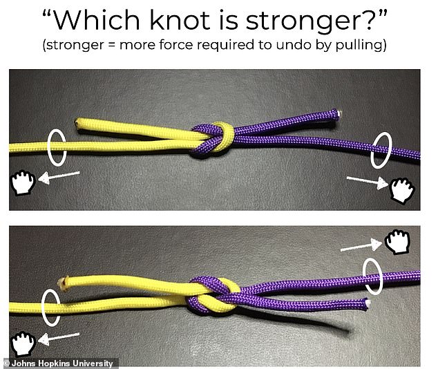 To simplify matters, the researchers then showed participants pictures of just two knots and asked them to point to the strongest one.