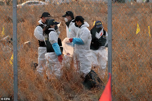 Members of the Korea Crime Scene Investigation (KCSI) search the wreckage of the Jeju Air plane at Muan International Airport in Muan.