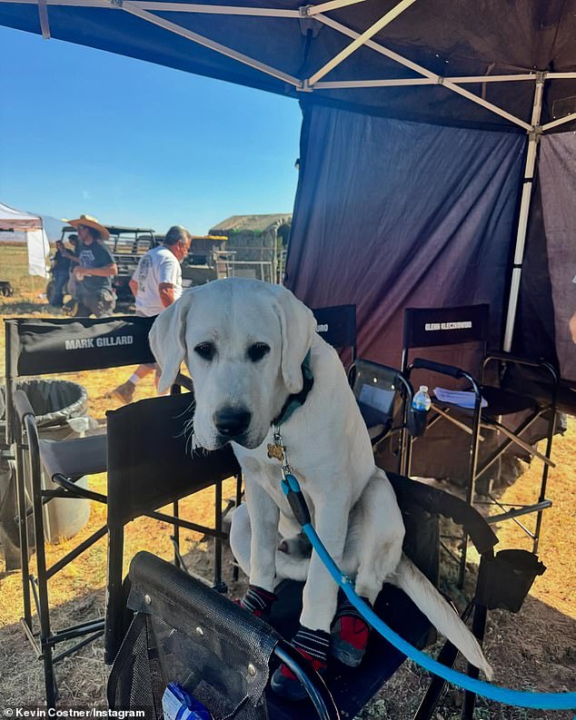 The Yellowstone alum always has support on set from his beloved one-year-old English Boxhead Lab, Bobby Costner (pictured June 2), whom he adopted for Christmas last year.