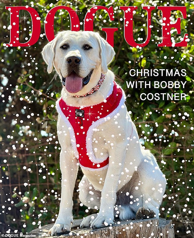 Kevin gushed in his dog's DOGUE cover story last Wednesday: 'Bobby is with me always. He is at my feet, in my bed, on the couch... always by my side. Travel with me on set and on vacation when appropriate and possible.'