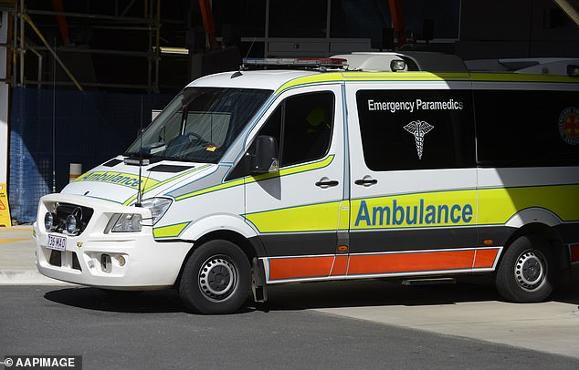 Despite the best efforts of paramedics, they were unable to save him and he was pronounced deceased at the scene (file image of a Queensland Ambulance Service vehicle)