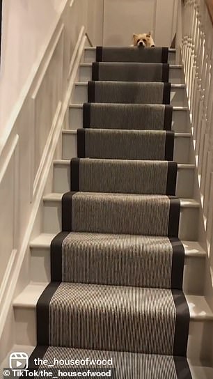 He removed the carpet, sanded the wood and prepared the staircase for painting before adding a runner.