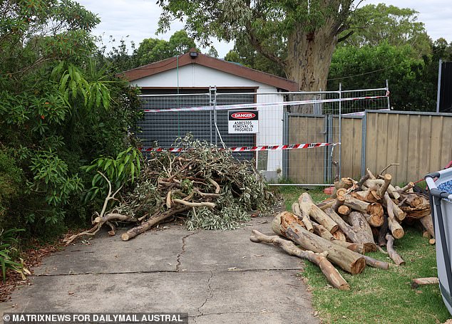 Branches from the gum tree had been cut in Franks' neighbor's driveway when Daily Mail Australia visited on Monday.