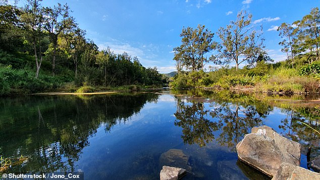 An 18-year-old man lost his life after falling from a rope swing into the Coomera River, near the Gold Coast, on Sunday in a series of water accidents during the Christmas season.