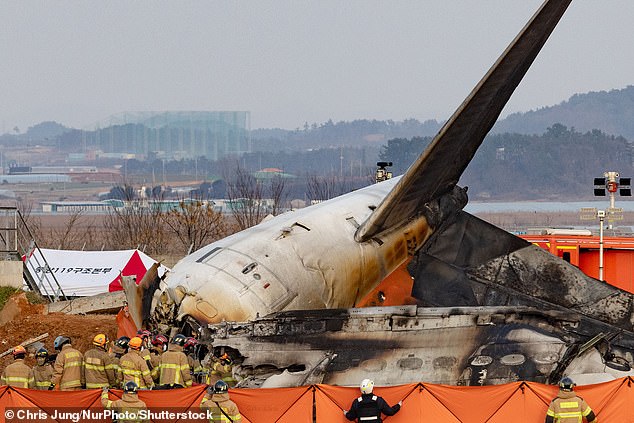 The photo shows the wreckage of the plane in which all but two of the 181 people on board died.