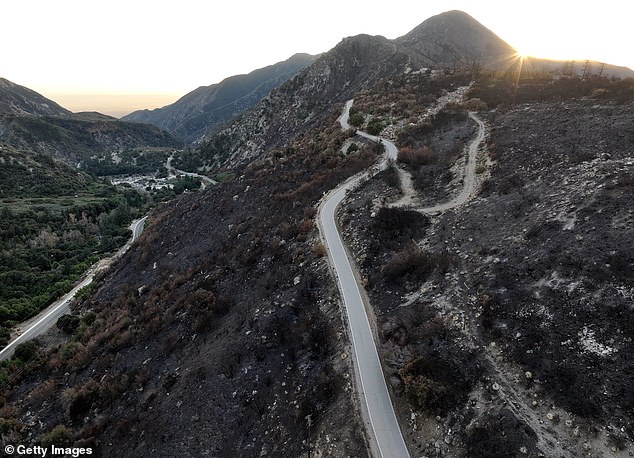 Pictured: The road to Mount Baldy that was closed due to the destruction of the Bridge Fire.