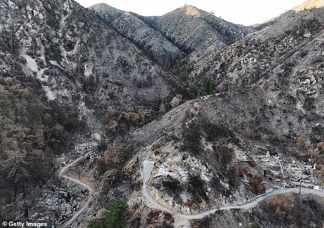 After a wildfire in September that destroyed 20 homes and burned more than 50,000 acres near Mt. Baldy Village, the U.S. Forest Service closed all trails to the summit until December 2025 to prioritize public safety and security. natural recovery of damaged plants and soil.