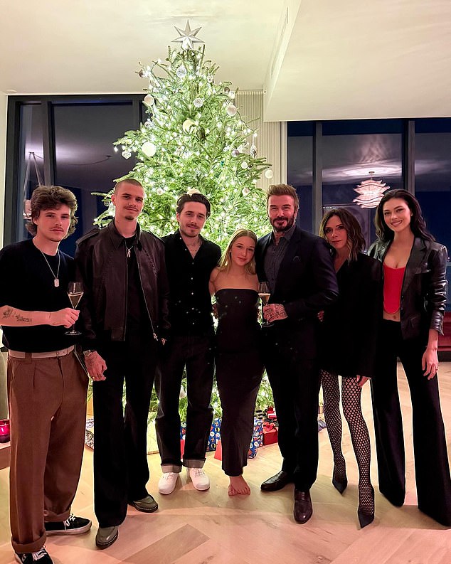 The Beckhams pictured at Christmas: LR are Cruz, Romeo, Brooklyn, Harper, David, Victoria and Nicola Peltz.