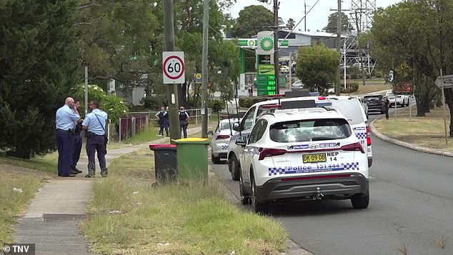 NSW Ambulance paramedics treated him at the scene but he died on the way to hospital.