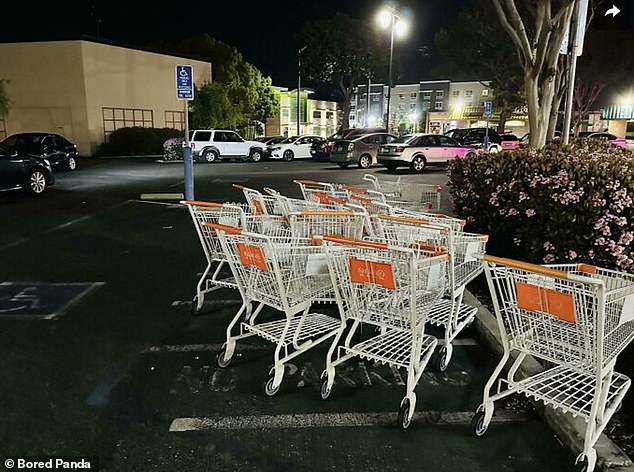 Is this a joke? A person found a group of abandoned shopping carts in the supermarket