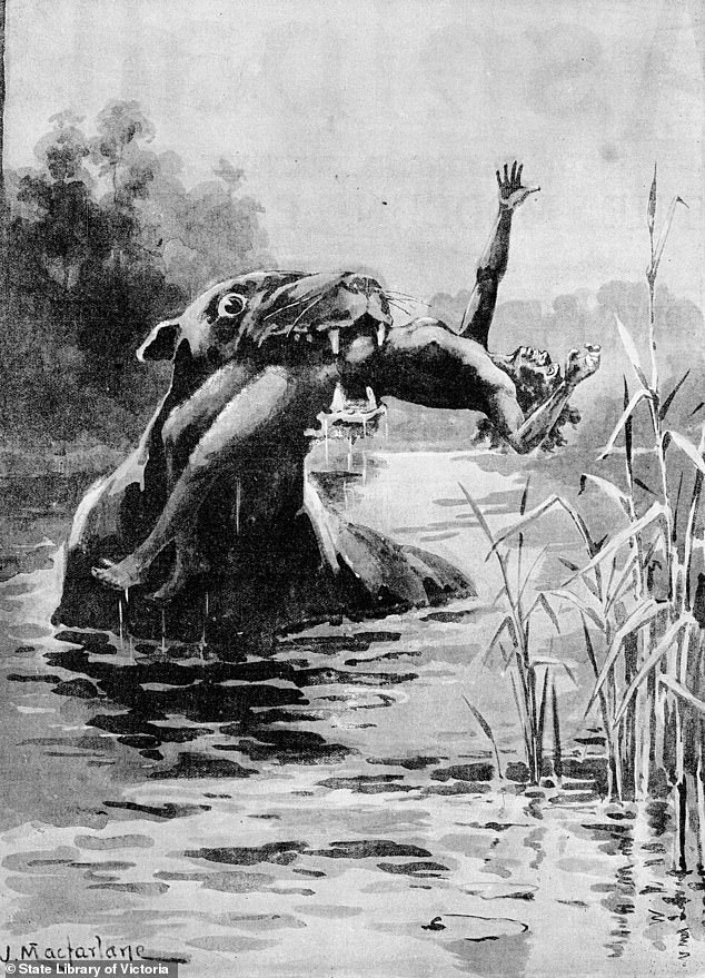 The mythical Bunyip holds a fearsome place in the hearts of many Australian children, as parents passed down stories about a man-eating swamp monster.