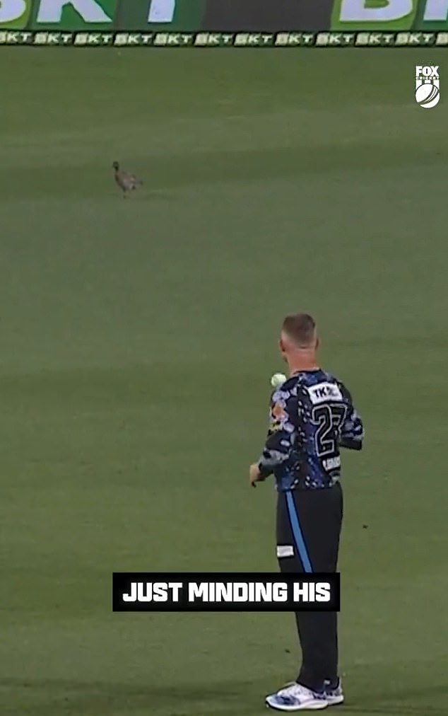 O'Keefe began making jokes about the bird after it pooped on the grass, while challenging one of the players to dive into that specific area of ​​the field.