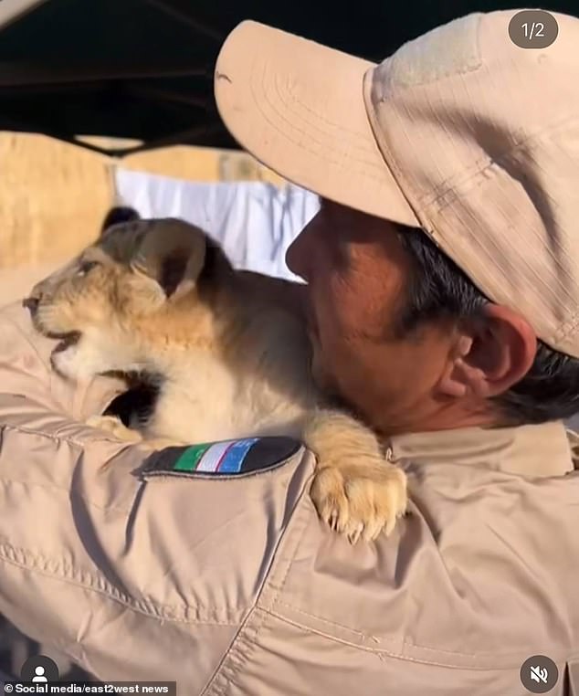 The zookeeper appears in a social media photo posing with a lion cub.