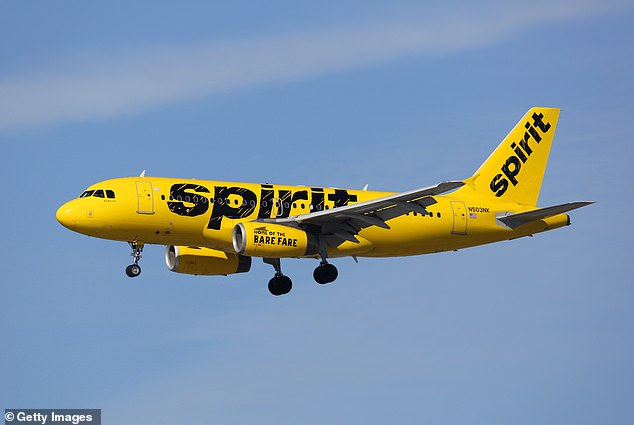 Spirit Airlines, the country's largest budget airline, filed for bankruptcy in November