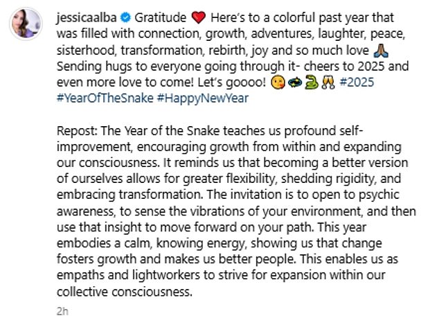 In her caption, she wrote: 'Gratitude ❤ For a colorful past year that was filled with connection, growth, adventure, laughter, peace, brotherhood, transformation, rebirth, joy and so much love. 'I send a hug to everyone who is going through this: cheers to 2025 and even more love to come! Come on!'