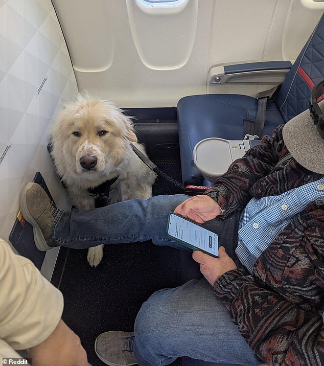 Last week, another traveler faced a similar situation on a Delta flight; were demoted to a 