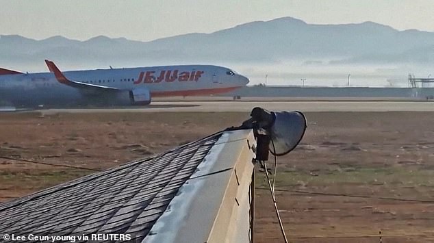 Jeju Air plane seen coming down runway before crashing