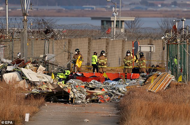 Firefighters search through the wreckage of the plane, after the disaster that killed 179 people