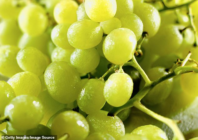 Eating 12 grapes under the table is an ancient Spanish tradition that goes viral every New Year on social networks, as it is believed that it can help you find love.