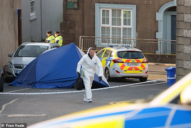 An eight-year-old schoolgirl has died after being 'stabbed' in a house in New Ross, County Wexford, Ireland.