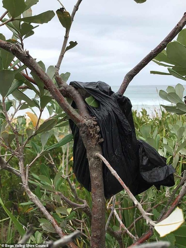 A bag full of dog feces was tied to a tree.