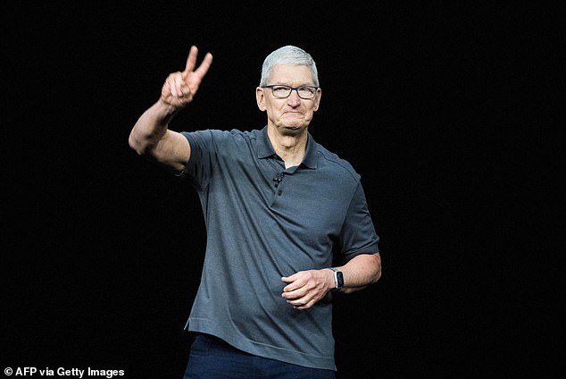 Experts have attributed Apple's success this year to CEO Tim Cook