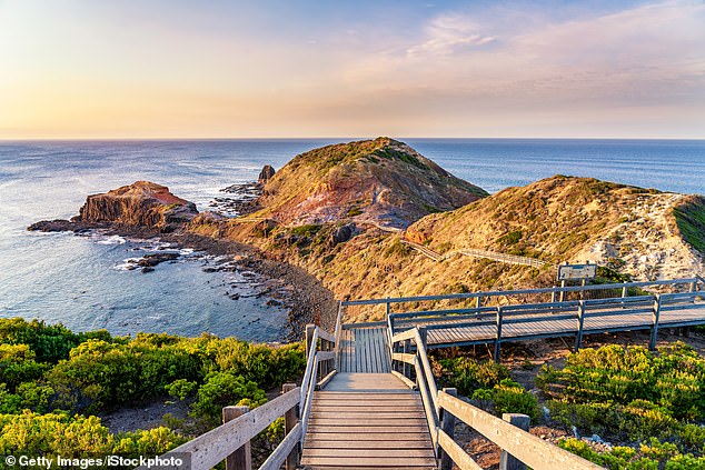 Around 50,000 properties offering short-term accommodation services in Victoria will be affected by the tax from New Year's Day (pictured, Mornington Peninsula)