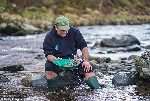 Many residents still hunt for hidden gold along the scenic South Yuba River that runs parallel to the main road (stock image)