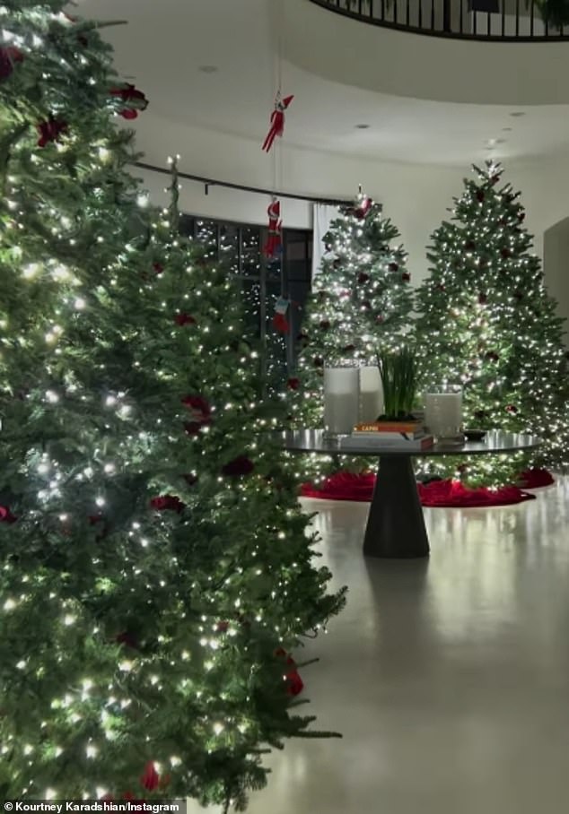 The star had his trees decorated with white lights everywhere.