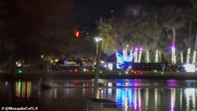 Pictured: Lighted drones were still seen falling into the lake and lying on the grass at Lake Eola Park