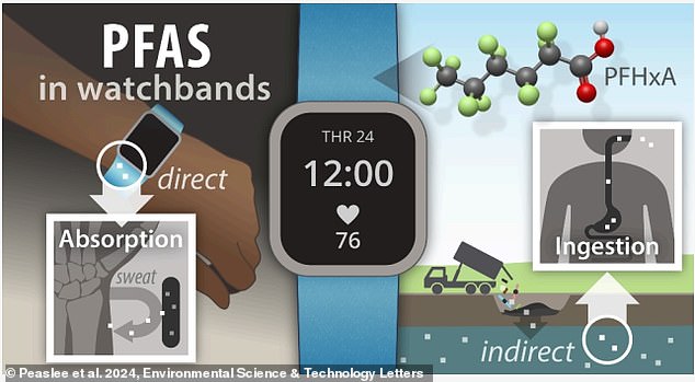 Some studies have suggested that long-term use of products containing PFAS can cause these chemicals to be absorbed through the skin and stored in the body.