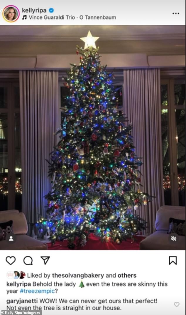 Despite managing to find a beautiful one to adorn with twinkling lights, baubles and garlands, the star, 54, couldn't help but poke fun at her tree for its slimmer size.