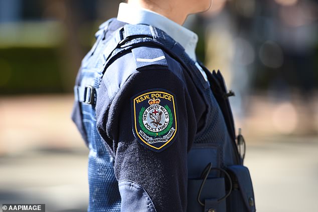 A security guard inside the Pitt Street hotel called police shortly after 7pm on Friday and officers arrested the man a short time later (file image).