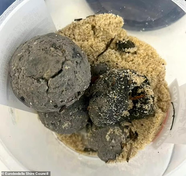 Business leaders fear mysterious objects found on beaches on the New South Wales south coast could hit tourism over the Christmas period.