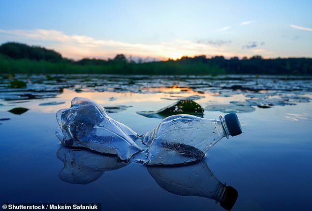 More than 460 million tons of plastic are produced every year and new research reveals the worrying impacts it is having on our health