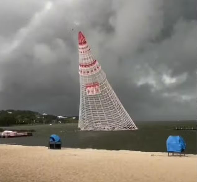 Officials said the 183-foot-tall Christmas tree was toppled by wind gusts that exceeded 47 miles per hour.