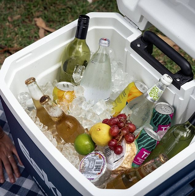 Many customers have given this purse-friendly cooler a near-perfect rating for keeping food and drinks cool all day long.