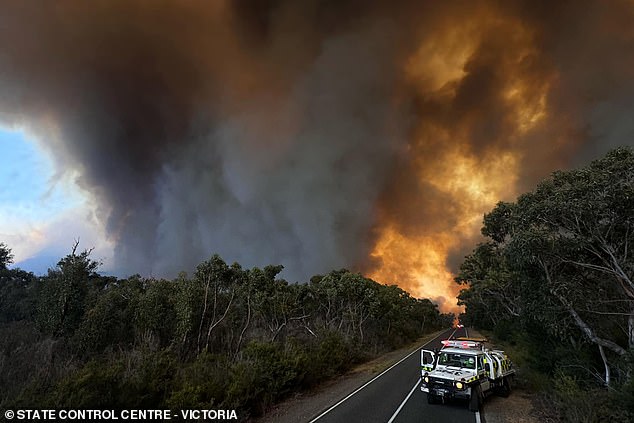 More than 55,000 hectares have been burned as firefighters battled the blaze over the past few days.